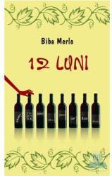 12 luni - Biba Merlo 
