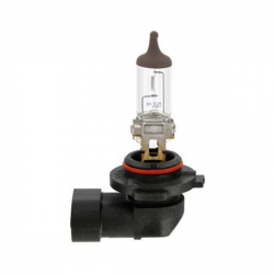 Bec H10 12V 42W PY20d Trifa