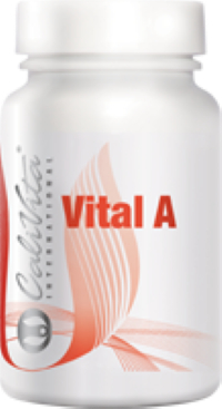 Vital A 90 tablete 
