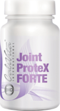 Joint Protex Forte 90 tablete