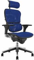 Scaun Ergohuman v1 Plus mesh 3D Albastru cu tetiera 2D suport lombar brate reglabile 3D sezut translabil QMOBILI 