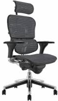 Scaun Ergohuman v1 Plus mesh 3D Gri cu tetiera 2D suport lombar brate reglabile 3D sezut translabil QMOBILI 