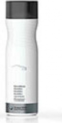 Sampon cu Ceara BMW 500 ML 