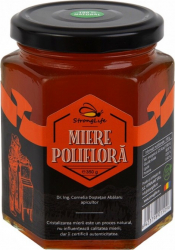 Miere naturala poliflora by Dr. Ing. Cornelia Dostetan Abalaru apicultor - 350g 