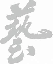 Sticker auto cu litere japoneze tuning JDM 20cm alb 