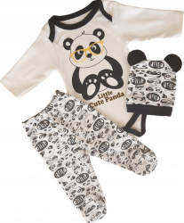 SET COMPLEU HAINE COPII FORMAT DIN BODY PANTALONI SI CACIULITA - panda marime 62 68 