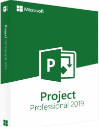 Project 2019 Professional 
