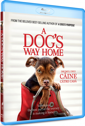 Drumul unui caine catre casa A Dog s Way Home BLU RAY 