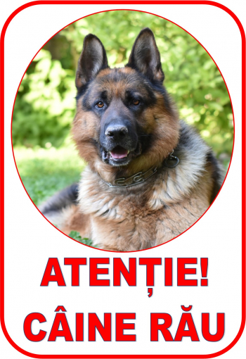 Indicator PVC A4 -Atentie caine rau 2