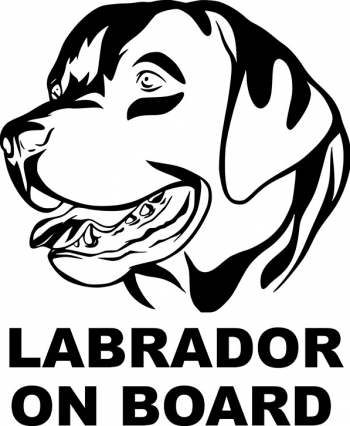 Sticker Auto Decorativ Labrador On Board Alb 21x27 cm 