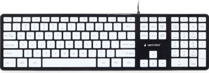 Tastatura Gembird KB-MCH-02-BKW Multimedia X-scissor USB US layout Negru Alb 