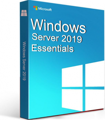 Microsoft Windows Server 2019 Essentials Original 2 User 