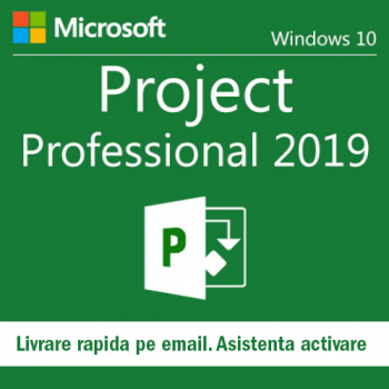 Microsoft Project 2019 Professional Licenta Permanenta 
