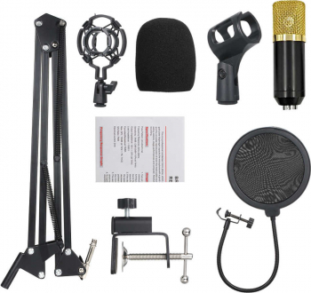 Microfon profesional de Studio Condenser BM-700 cu stand inclus pentru inregistrare 