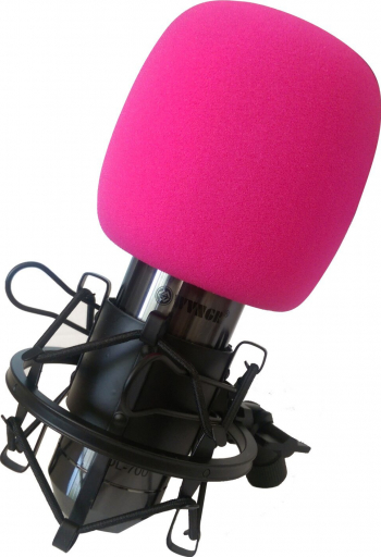 Microfon profesional pentru studio de inregistrari cu fir DL-700 