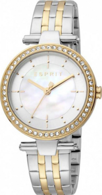 Ceas de dama Esprit ES1L153M2055 Argintiu-Auriu 