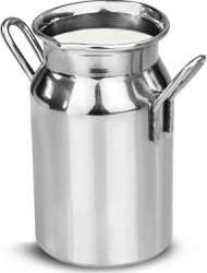 Sosiera RAKI inox tip bidon 4 5x8cm 