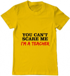 Tricou barbat Printado im a teacher Bumbac Regular fit Galben L INTL 