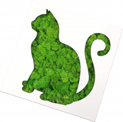 Rama cu licheni stabilizati PISICA 30X30 cm Crioflora 
