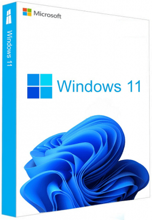 WINDOWS 11 Pro Retail Activare permanenta 