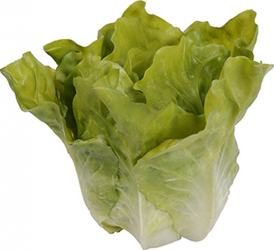 Figurina decorativa salata verde 14x12x14cm 