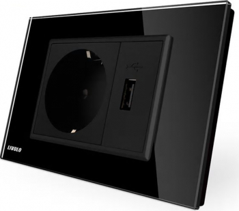 Priza simpla cu USB Livolo VL-C9C1EU1U-12 standard italian Negru 
