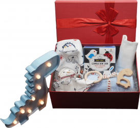 Gift Box copii 10+ piese material organic 6-9 luni baieti 