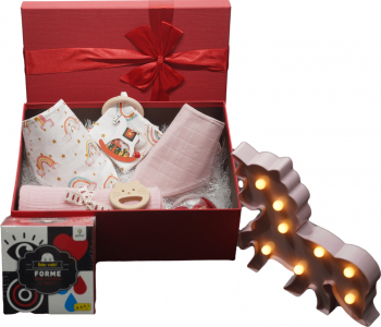 Gift Box copii 10+ piese material organic 6-9 luni fete 
