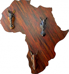 Panou decorativ Colours Of Africa