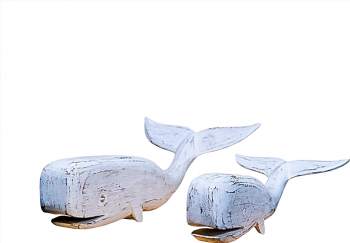 Set Mahakam Dolphins M+L 