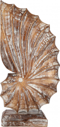 Decoratiune Nautilus Shell L Tip 1 