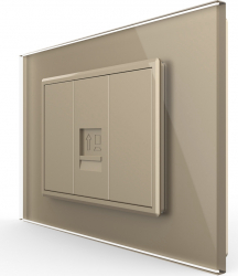 Priza internet Livolo VL-C9-C1C-3A cu rama din sticla standard italian Auriu 