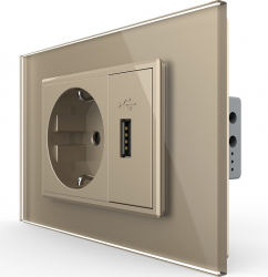 Priza simpla cu USB Livolo VL-C9C1EU1U-13 standard italian Auriu 