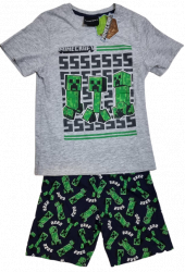 Pijama copii Minecraft Creeper SSS 10 ani/140 cm Gri/Verde 