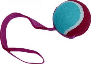 Jucarie interactiva Play Ball cu minge si maner interactiva 35 cm roz/albastru Doty 