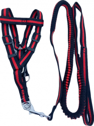 Lesa cu ham Baxter pentru caini de talie medie rezistenta ajustabila amortizor 125 cm rosu/negru Doty 