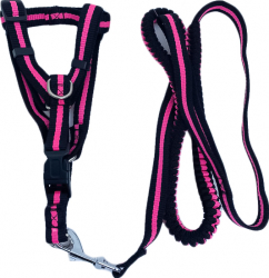 Lesa cu ham Baxter pentru caini de talie mica rezistenta ajustabila amortizor 125 cm roz/negru Doty 