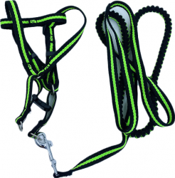 Lesa cu ham Baxter pentru caini de talie mica rezistenta ajustabila amortizor 125 cm verde/negru Doty 