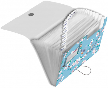 Mapa A4 Documente Pp 12 Compartimente Easy.orga To Go Motiv Ladylike Birds 