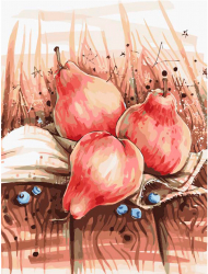 Set pictura pe numere cu sasiu Natura Moarta cu Pere 40x50 cm 
