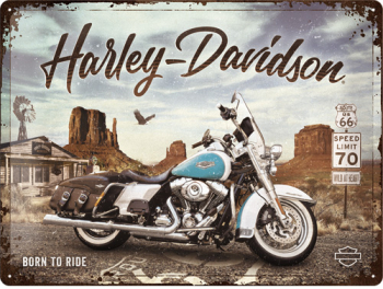 Placa metalica Harley-Davidson - Route 66 Road King Classic 