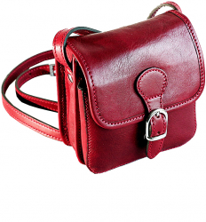 Geanta de umar crossbody din piele naturala bordo FP1150D 