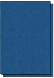 Coperti Indosariere EVOffice din Carton Tip Imitatie Piele A4 Culoare Bleumarin 250 g/m² 100 Coli/Top - Accesorii Indosariat 