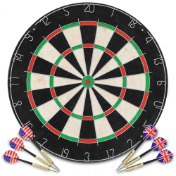 vidaXL Placa de darts profesionala cu 6 sageti sisal 