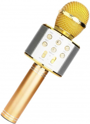 Microfon karaoke cu efecte sonore Auriu TLF-BBL5610 