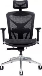Scaunul de birou ergonomic Hansen Plus