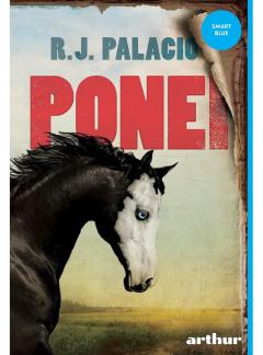 Ponei R.J. Palacio 