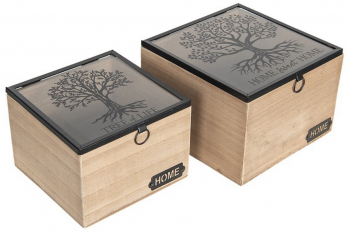 Set 2 cutii depozitare maro transparent 18x18x12 cm 