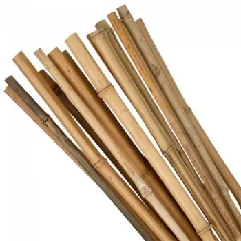 Suport/arac pentru plante rosii bambus set 10 buc 1.6x180 cm Strend Pro 