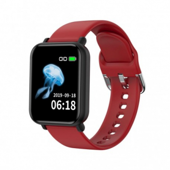 Ceas Smartwatch Techstar® R16 1.3 inch IPS Bluetooth 4.0 + EDR Monitorizare Tensiune Puls Oxigen Sange 